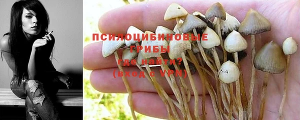 марки nbome Алзамай