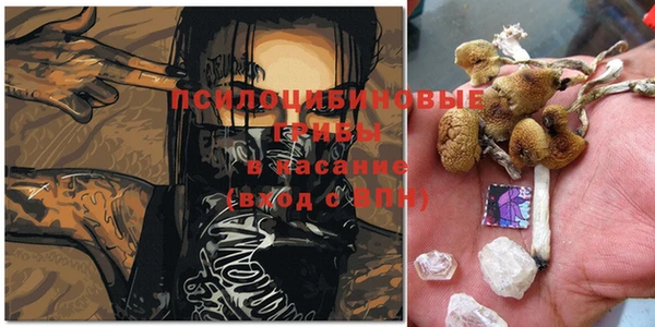 марки nbome Алзамай