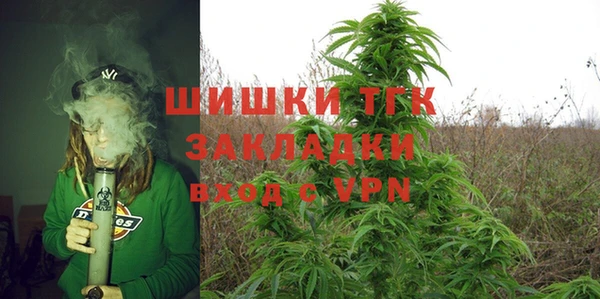 молекула духа Медвежьегорск